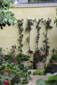 Click to enlarge Bunny Guinness, M&G Garden, RHS Chelsea 2011