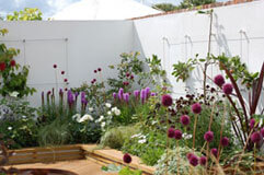 Click to enlarge Trellis system installed at RHS Tatton Park 2009