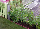 Centrepoint Show Garden - Hampton Court 2007