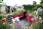 Centrepoint Show Garden - Hampton Court 2007