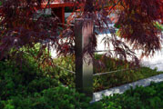 Click to enlarge I-No Garden Design - RHS Chelsea Flower Show 2010