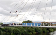 Click to enlarge Stainless Steel Bridge Wires Diglis