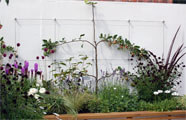Click to enlarge Stainless Steel Trellis System