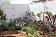 Click to enlarge Stainless Steel Trellis Wires with Espalier Trees