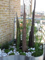 Click to enlarge Large bespoke stainless steel planter