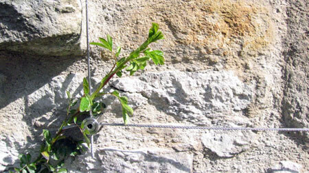 Green Wall installed on a very uneven wall
