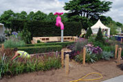 Jill Foxley - RHS Hampton Court 2010