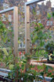Click to enlarge Rooftop Gardens Trellis Panels