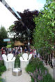 Click to enlarge Jamie Dunstan - RHS Chelsea Flower Show 2010