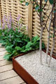 Click to enlarge Jamie Dunstan - RHS Chelsea Flower Show 2010