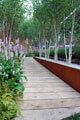 Click to enlarge Jamie Dunstan - RHS Chelsea Flower Show 2010