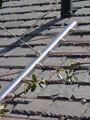 Click to enlarge Stainless Steel Plant Training Cables