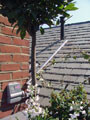 Click to enlarge Stainless Steel Trellis Cables