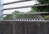 Stainless Steel Bridge Cables