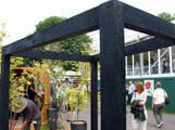 Stainless Steel Pergola Cables