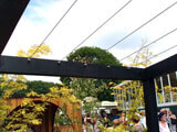 Stainless Steel Pergola Cables