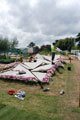 The Pansy Project - RHS Hampton Court 2010