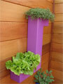PSI Nursery garden planters at Chelsea Flower Show 2009