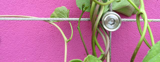 Green Wall Trellis Systems
