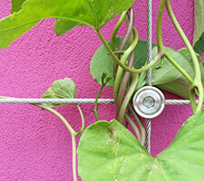 Stainless Steel Wire Trellis Kits