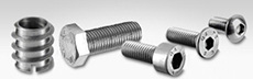 Stainless Steel Screws and Bolts