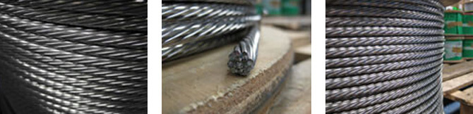 Stainless Steel Wire Rope Stainless Steel Wire Rope