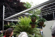 Click to enlarge RHS Chelsea garden designed by Tom Hoblyn
