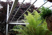 Click to enlarge The RHS gold award for Tempest in a Teapot, designed by Tom Hoblyn