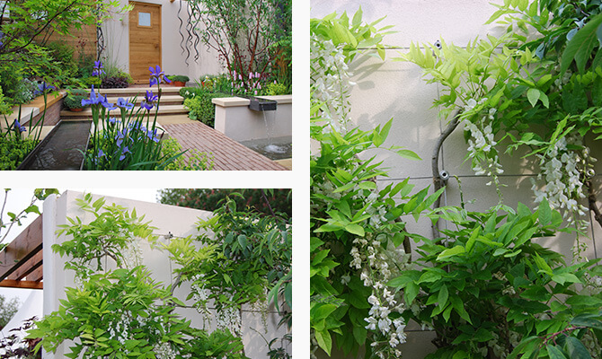 Beautifully Designed Garden with Green Wall Trellis