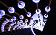 Click to enlarge Zaha Hadid Fade Chandelier