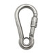 Carabiner with Eye and Self Lock Nut