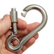 Carabiner with Eye and Self Lock Nut - Open Gate