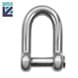 Stainless Steel D Shackle with Socket Head Pin