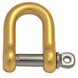 D Shackle Yellow/Gold