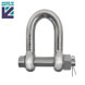 E Type Stainless Steel Safety D Shackle