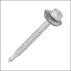 Frame Screw with Washer Head