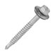 Stainless Steel Frame Screw with Washer Head