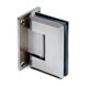 Glass Swing Door Hinge - Glass/Wall Mount - Stainless Steel