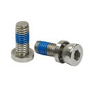Adjustable Screw for Glass Clamps