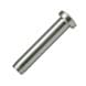Stainless Steel Swage Dome Head Terminal - Small