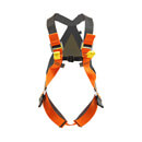 Sierra Duo - 2 Point Safety Harness