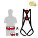 Sierra Duo - 2 Point Safety Harness - Sizing